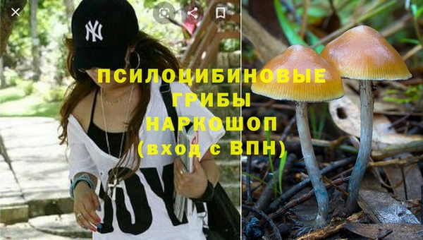 МДМА Туринск