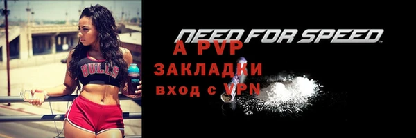 бошки Ельня
