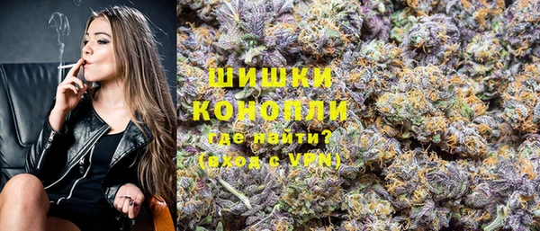 бошки Ельня