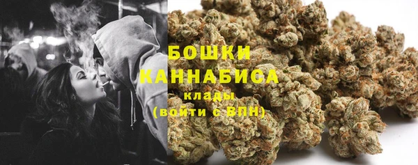 бошки Ельня