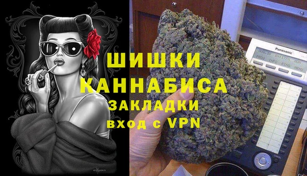 ПСИЛОЦИБИНОВЫЕ ГРИБЫ Заволжье