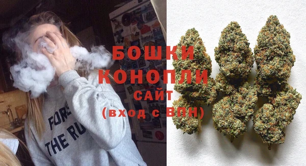 бошки Ельня
