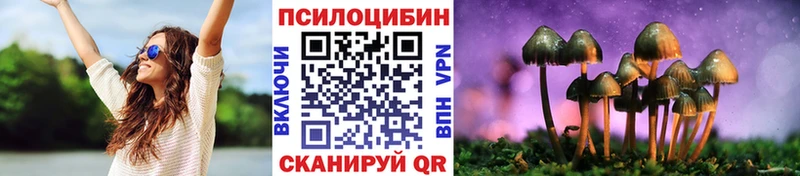 Купить закладки  Пугачёв  Псилоцибиновые грибы Psilocybine cubensis 